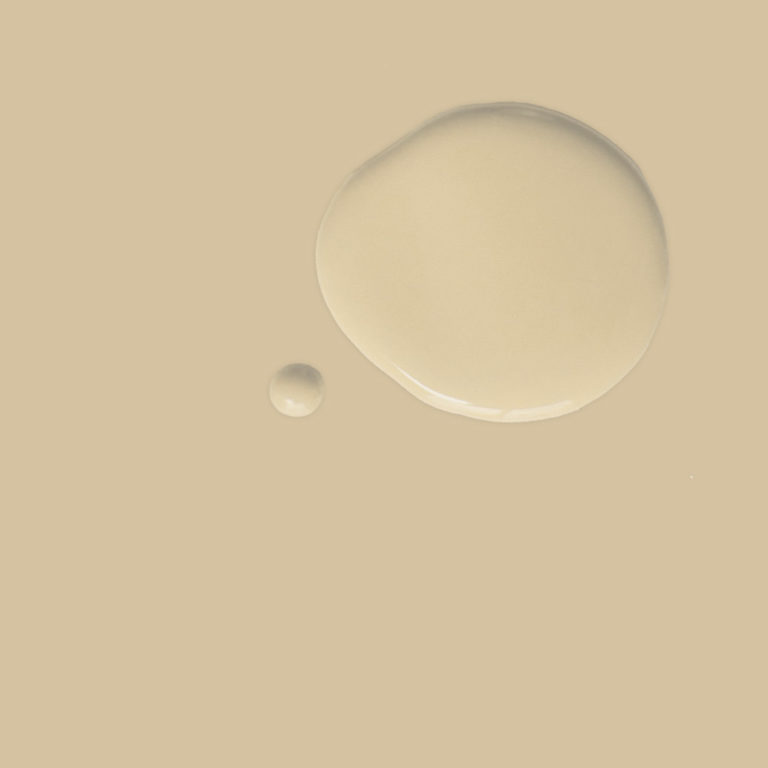 Chalk Paint 1 Litro Old Ochre