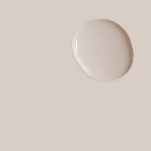 Satin Paint 750ml Pointe Silk
