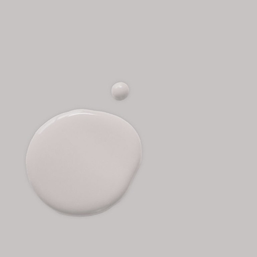 Wall Paint 2.5 Litro Adelphi