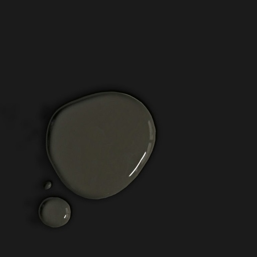 Wall Paint 2.5 Litro Athenian Black