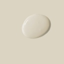 Wall Paint 2.5 Litro Canvas
