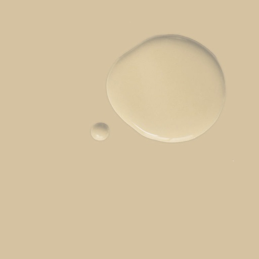 Wall Paint 2.5 Litro Old Ochre