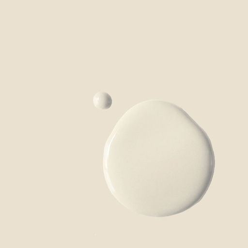 Wall Paint 2.5 Litro Original