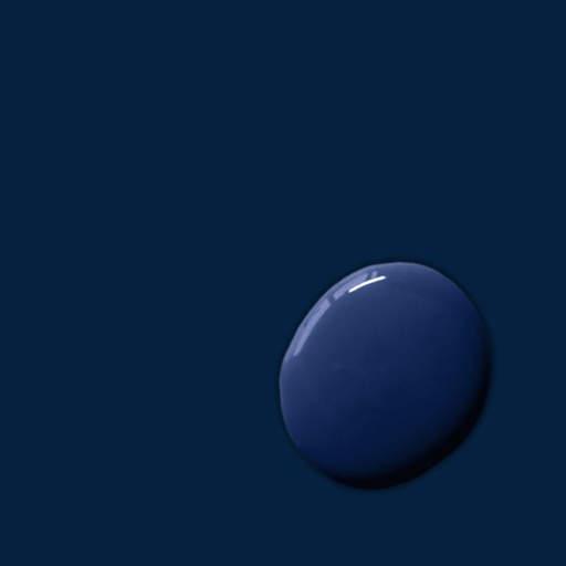 Wall Paint 2.5 Litro Oxford Navy
