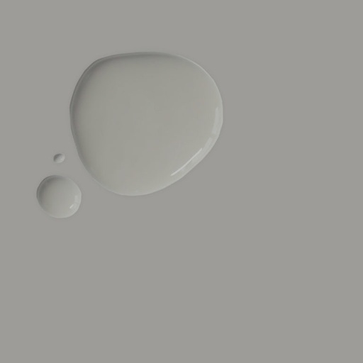 Wall Paint 2.5 Litro Paris Grey