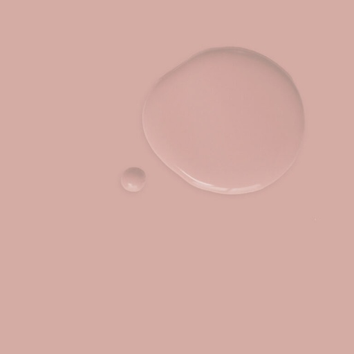 Wall Paint 2.5 Litro Piranesi Pink