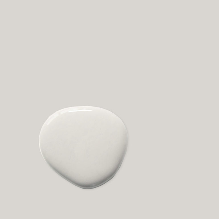 Wall Paint 2.5 Litro Pompadour