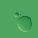 Wall Paint 2.5 Litro Schinkel Green
