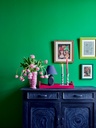 Wall Paint 2.5 Litro Schinkel Green