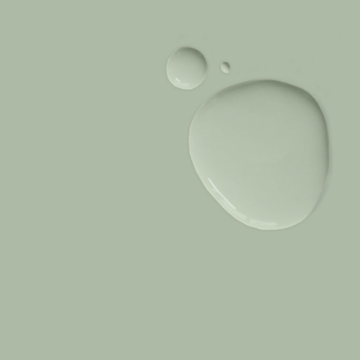 Wall Paint 2.5 Litro Terre Verte