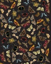 RHS Decoupage Paper Winged Wildlife