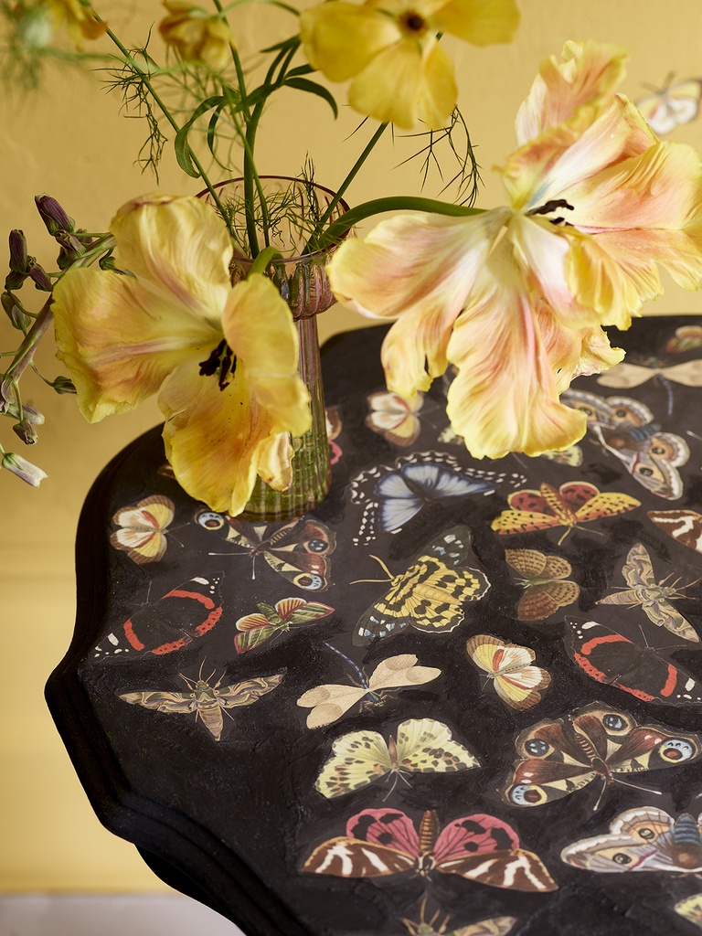 RHS Decoupage Paper Winged Wildlife
