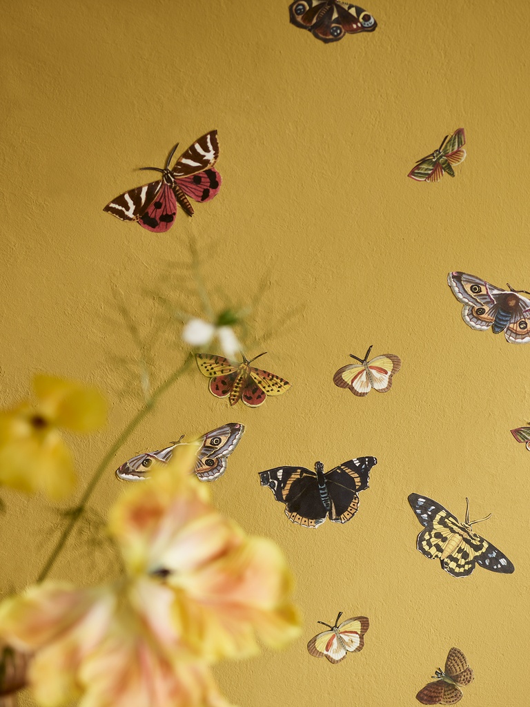 RHS Decoupage Paper Winged Wildlife