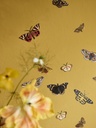 RHS Decoupage Paper Winged Wildlife
