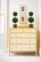 RHS Decoupage Paper Formal Rome