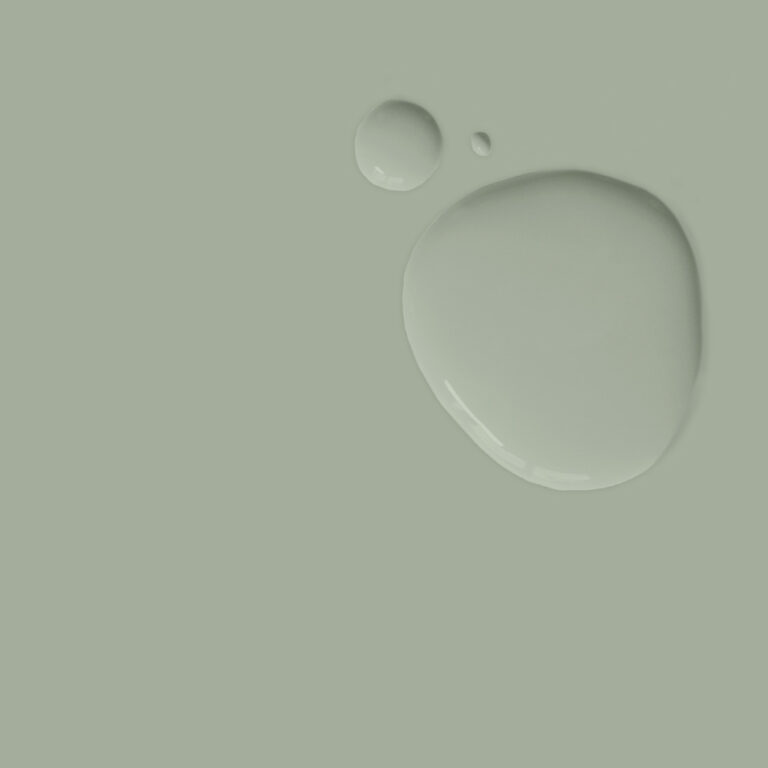 Chalk Paint 1 Litro Coolabah Green
