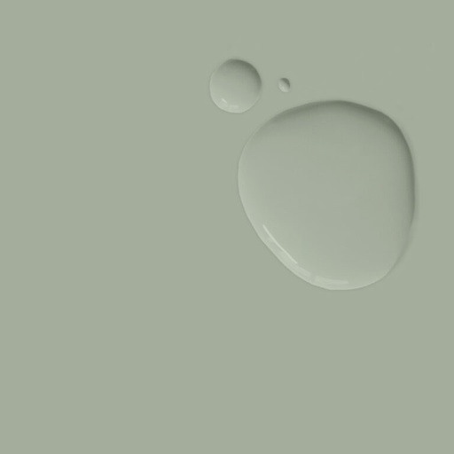 Chalk Paint 1 Litro Coolabah Green