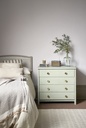 Chalk Paint 1 Litro Coolabah Green