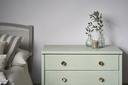 Chalk Paint 1 Litro Coolabah Green