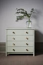 Chalk Paint 1 Litro Coolabah Green