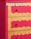METALLIC PAINT