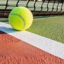 LINE PAINT WHITE 1MM FLEXIPAVE - PINTURA PARA LINEAS