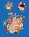RHS DECOUPAGE PAPER FLORIBUNDA - FURNITURE PAPER 67*48CM