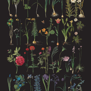 RHS Decoupage Paper Formal Garden
