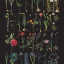 RHS DECOUPAGE PAPER FORMAL GARDEN - PAPEL PARA MUEBLES  67*48CM