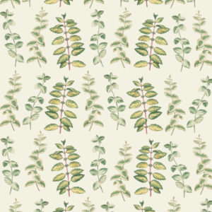 RHS Decoupage Paper Mint