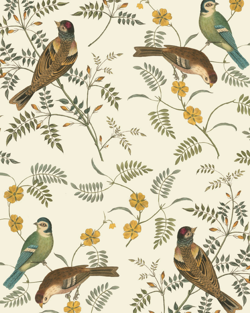 RHS DECOUPAGE PAPER SONGBIRD - FURNITURE PAPER 67*48CM