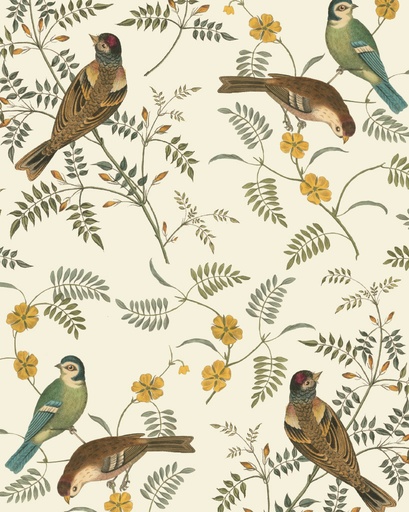 [DPSS001.0001.01] RHS DECOUPAGE PAPER SONGBIRD - FURNITURE PAPER 67*48CM