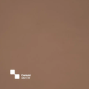 CERAMI - ASPECTO PÉTREO